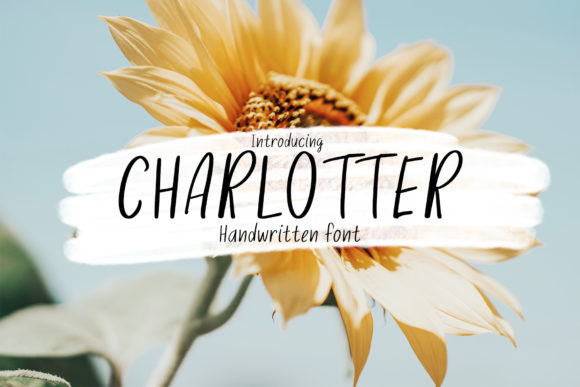 Charlotter: A Script Amp Font for Elegant Design