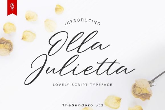 Elevate Your Campaigns with Olla Julietta Font
